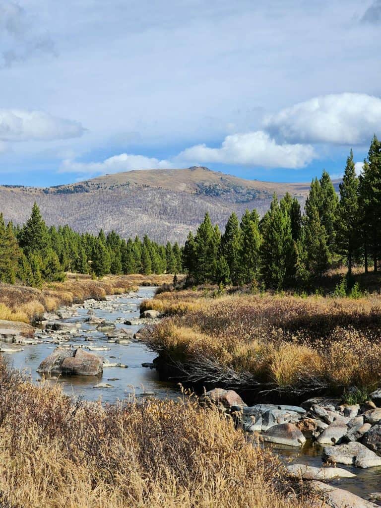 Beautiful mountain landscape featuring a flowing river, lush green trees, and distant hills under a cloudy6 sky.
